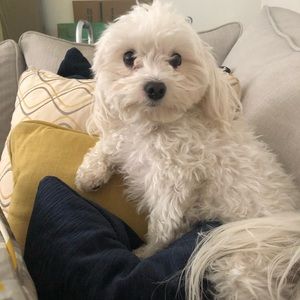 Meet your Posher, Kimberly